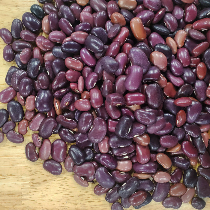 Assorted dark red, purple, and black kidney beans on a light wooden surface. Healthy legumes for cooking.