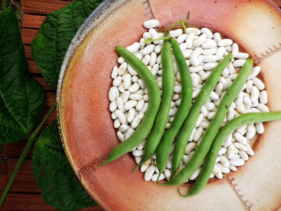 Rustic plate of dried white beans topped with fresh green beans and green leaves. Healthy legumes.