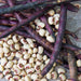 Shelled black-eyed peas with dark eyes beside dried purple hull pea pods on a rustic wood surface.