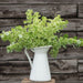 Vibrant green Bells of Ireland bouquet in a white enamel pitcher on rustic wood. Fresh cut flowers, garden decor.