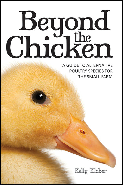 "Beyond the Chicken" book cover: yellow duckling. Guide to alternative poultry species for small farms.