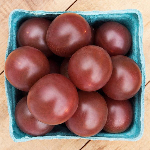 Fresh dark red heirloom tomatoes overflowing a blue berry basket on a wood table. Delicious garden produce.