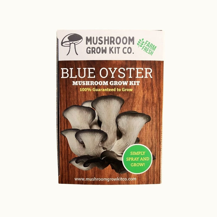 Premium Blue Oyster Mushroom Growing Kit - 5 LBS