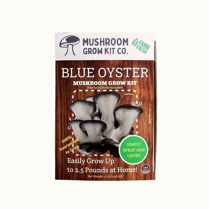 Premium Blue Oyster Mushroom Growing Kit - 5 LBS