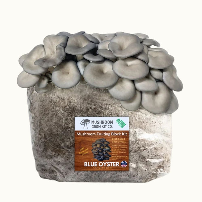 4 Pack - Premium Lion's Mane, Gold, Pink, and Blue Oyster Mushroom Fruiting Block Grow Kits - 20 LBS