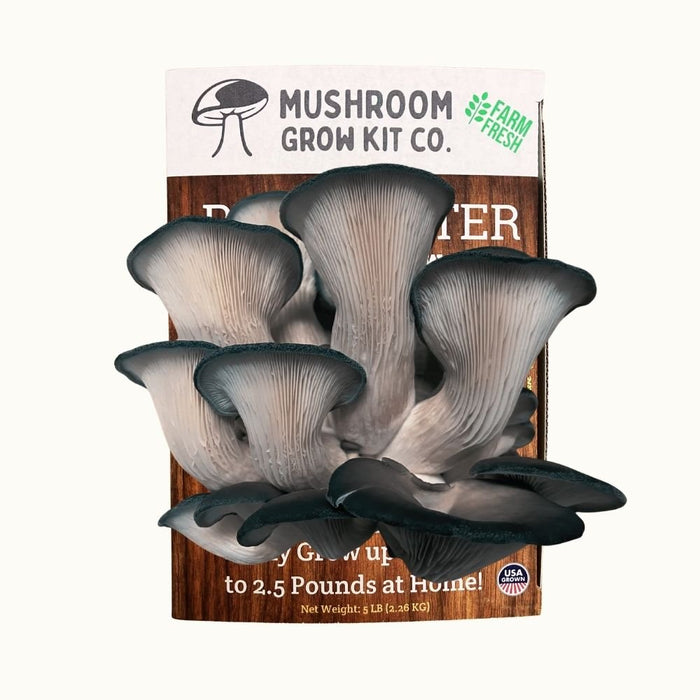Premium Blue Oyster Mushroom Growing Kit - 5 LBS