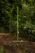 Green broadfork garden tool stuck in rich garden soil, with lush vegetable plants in background.