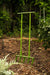 Green broadfork garden tool with four tines, standing upright in mulched garden soil for deep cultivation.