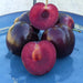 Ripe dark purple plums on a blue plate, two halved revealing juicy red flesh and pits. Fresh, healthy stone fruit.