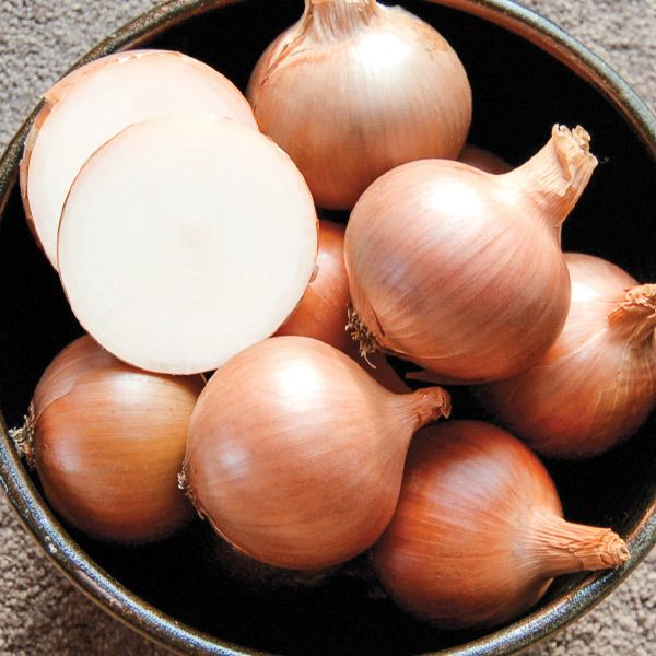 Bowl of fresh golden brown onions, one cut in half revealing its white layers. Versatile ingredient for cooking and recipes.