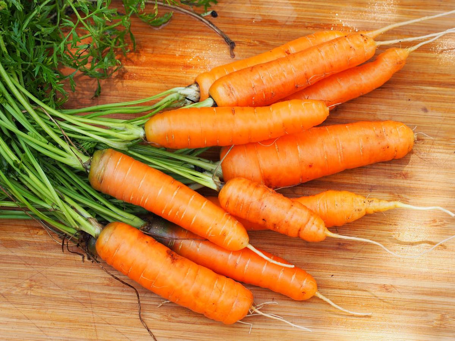 Freshly harvested organic orange carrots with vibrant green tops on a wooden cutting board.