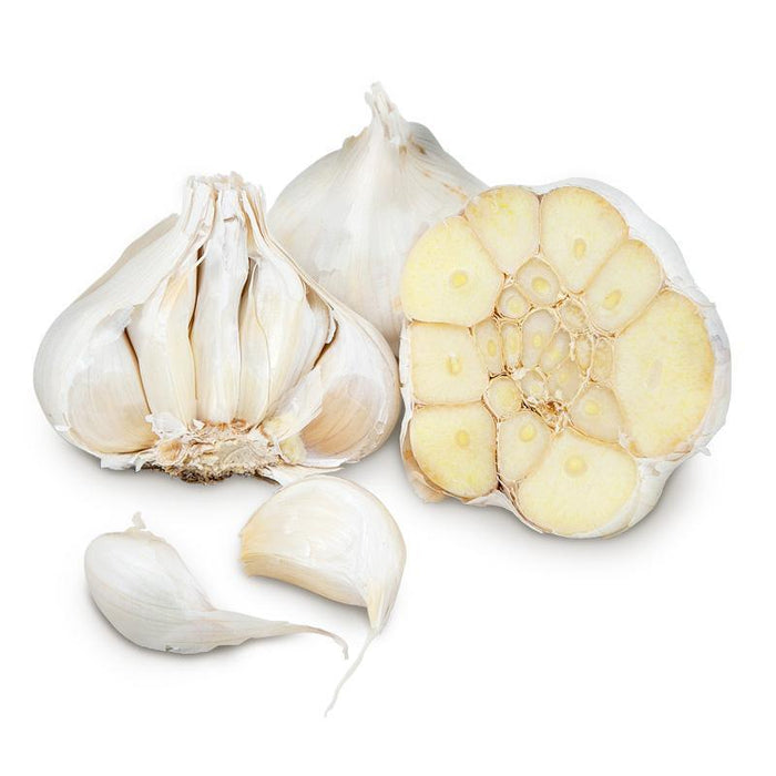 California Early White Garlic (lb)