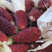 Vibrant red ornamental corn cobs with dried husks and silks. Perfect for fall harvest and decor.