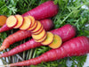 Fresh purple and red carrots with green tops, some sliced revealing orange centers. Healthy garden vegetables.
