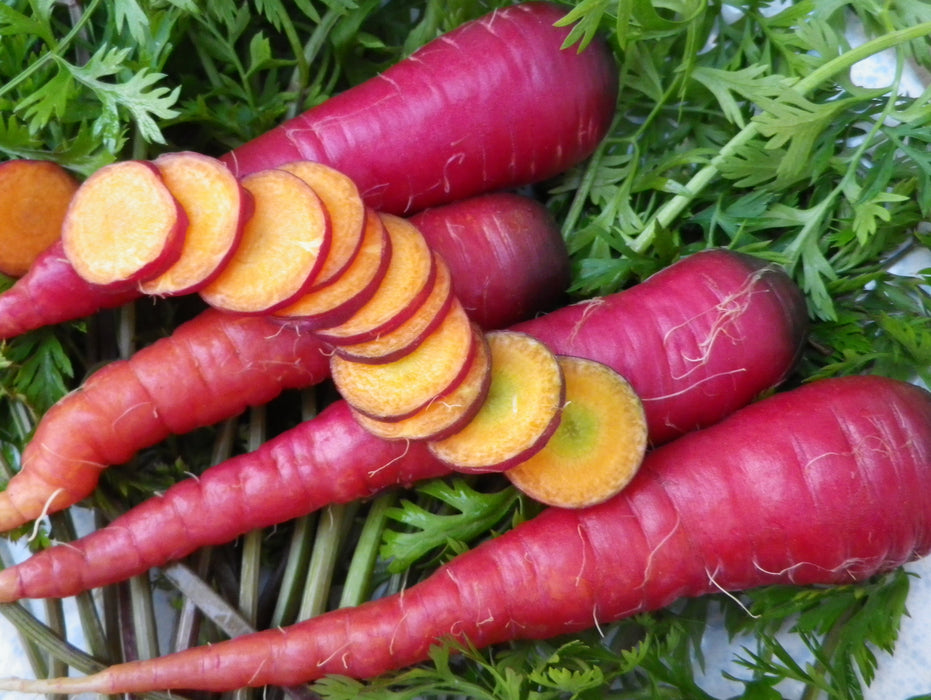 Fresh purple and red carrots with green tops, some sliced revealing orange centers. Healthy garden vegetables.