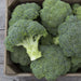Vibrant green broccoli florets filling a rustic wooden crate. Fresh, healthy produce.