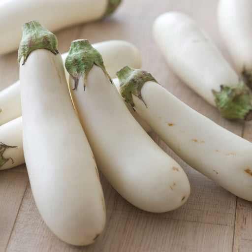 Multiple fresh white eggplants with green caps on a wooden table. Organic vegetables for healthy recipes.