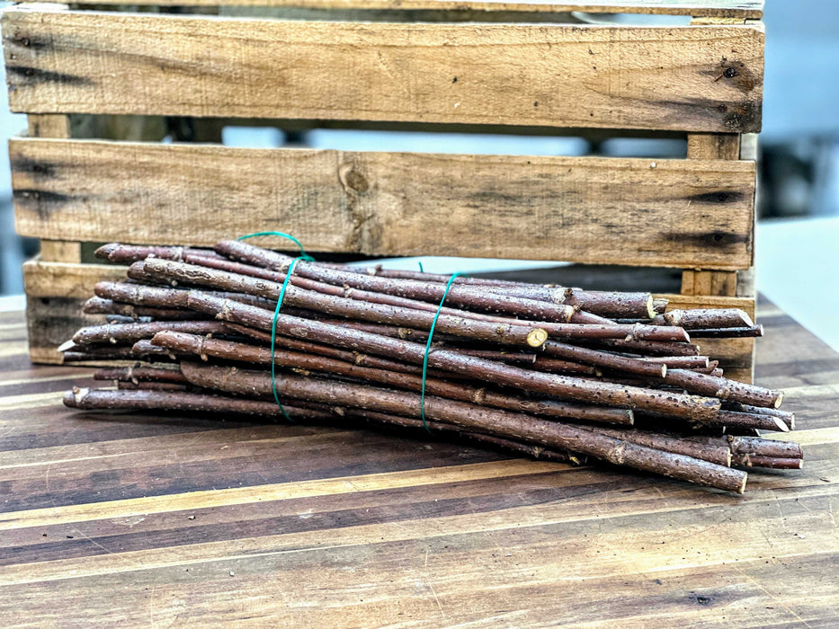 Bundled woody plant cuttings for propagation or grafting on a wooden table, with a rustic crate.
