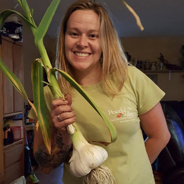 Elephant Garlic (lb)