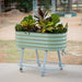 Mobile sage green corrugated metal raised garden bed with diverse plants, wheeled stand, and lower shelf.