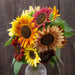 Colorful sunflower bouquet in a vase: yellow, orange, red, burgundy, bronze petals. Fall floral arrangement.