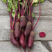 Fresh organic beets with green tops and red stems on rustic wood. A sliced beet reveals its vibrant red root.