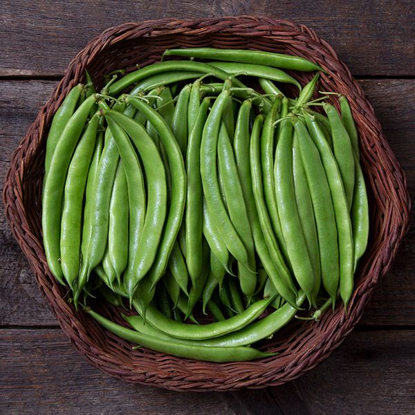Fresh green beans in a woven basket on dark wood. Organic vegetables, healthy garden produce.