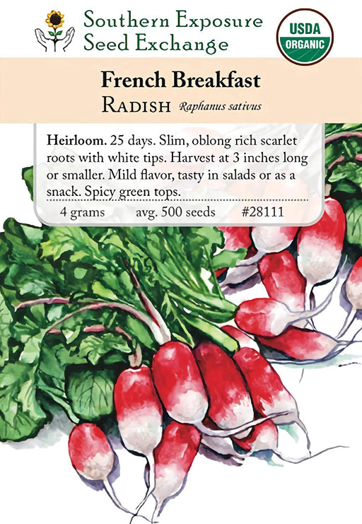 Southern Exposure Seed Exchange French Breakfast Radish seeds. Organic heirloom radishes with red roots, white tips, green tops.