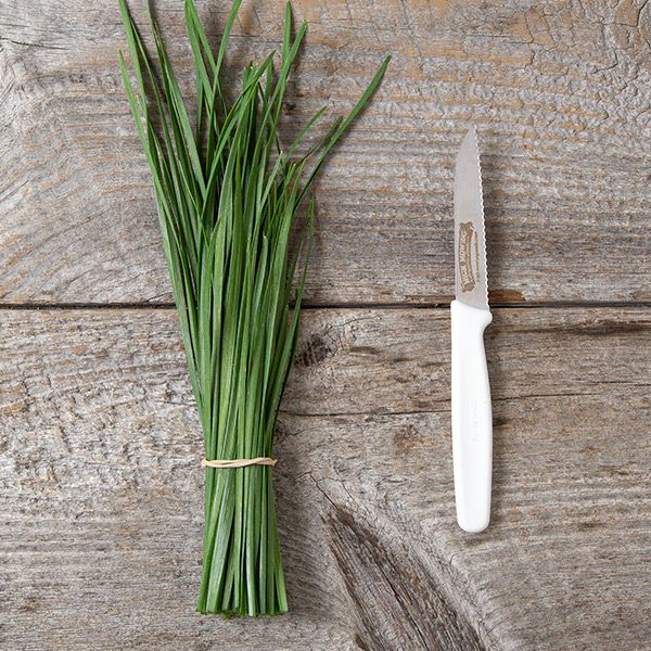 Fresh green chives, bundled, beside a serrated knife on a rustic wooden table. Perfect for cooking and garnishing.