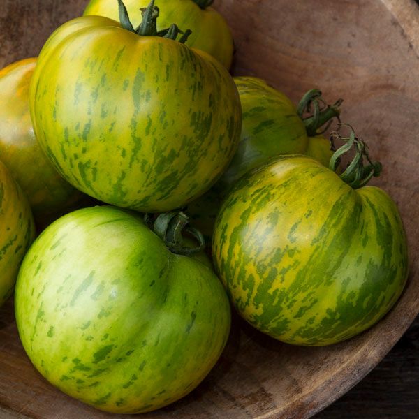 Fresh green and yellow striped heirloom tomatoes in a rustic wooden bowl.