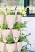 Green pea shoots growing in a stacked vertical garden system with white planters, ideal for urban gardening.