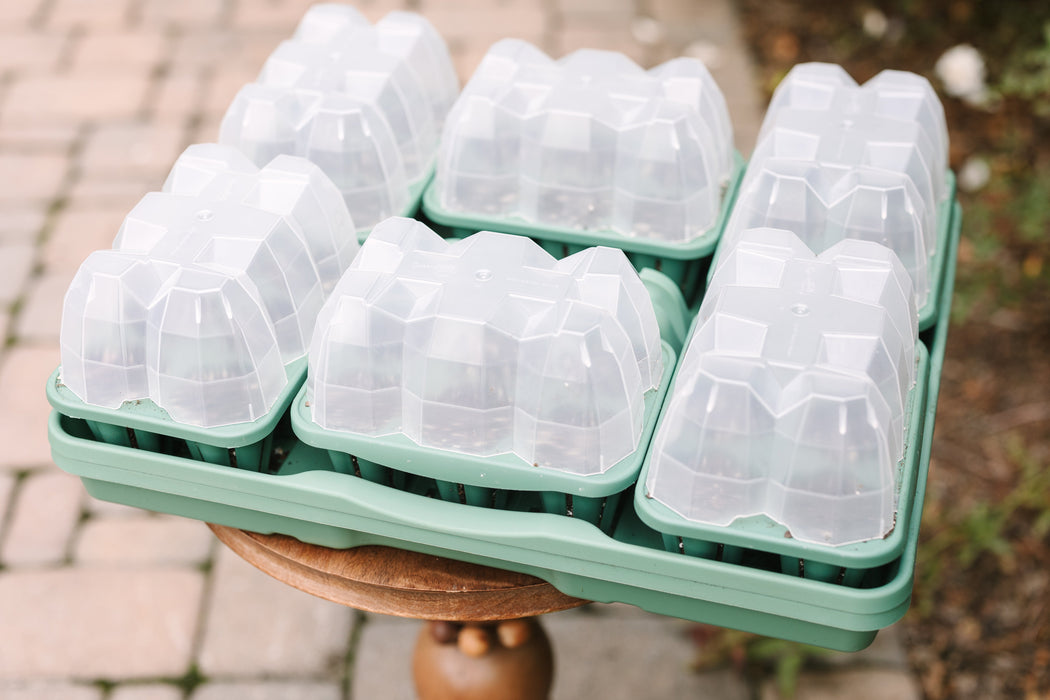 GreenStalk Garden Seed Starter Kit with Domes