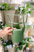 Hand holding a green GreenStalk garden trellis accessory in front of a vertical planter with blooming flowers and plants.