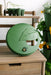 Green bee waterer with leaf design & bee accent on wood shelf, garden seedlings, watering can, and potted plants.