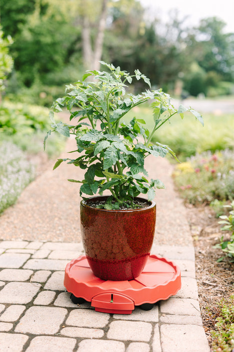 GreenStalk Garden Ultimate Mover