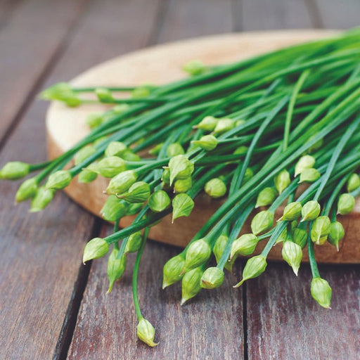 Fresh garlic chive flowers with buds on a wooden board. Green Asian vegetable, healthy cooking ingredient.