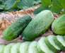 Fresh green cucumbers, whole and sliced, on a textured brown cloth with lush cucumber plant leaves.