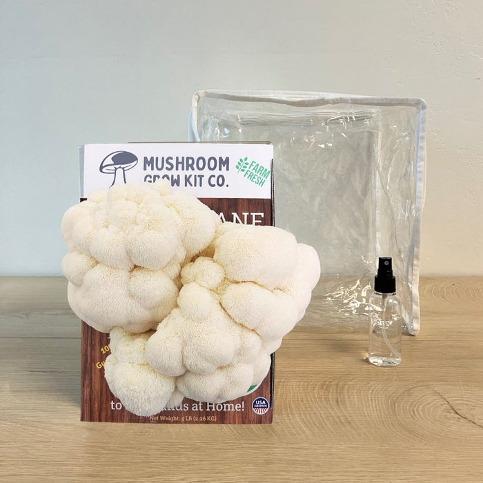 Premium Lion's Mane Mushroom Growing Kit - 5 LBS