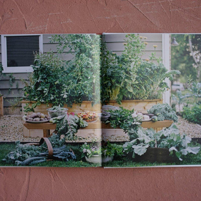 Lush raised garden beds with abundant green vegetables. Freshly harvested potatoes, tomatoes, kale, zucchini, and greens.