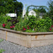 Wooden raised garden bed with basil, rosemary, chives, dill, and red flowers. Gravel landscaping, church steeple.