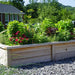 Wooden raised garden bed filled with lush herbs, vibrant pink flowers, red basil, and tall dill. Backyard landscaping.