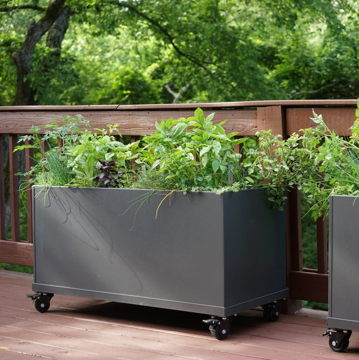 Modern dark gray mobile planter box on casters, filled with basil, chives, and other fresh herbs on a deck.