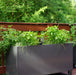 Dark grey mobile planter box on a deck, growing fresh herbs: basil, chives, and small tomato plants. Deck garden.