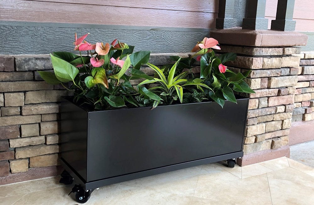 Modern black metal planter on wheels with pink anthurium flowers & green foliage for patio decor.