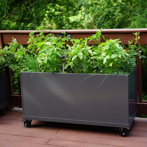 Modern dark grey mobile planter box filled with lush basil, chives, and herbs on a wooden deck.