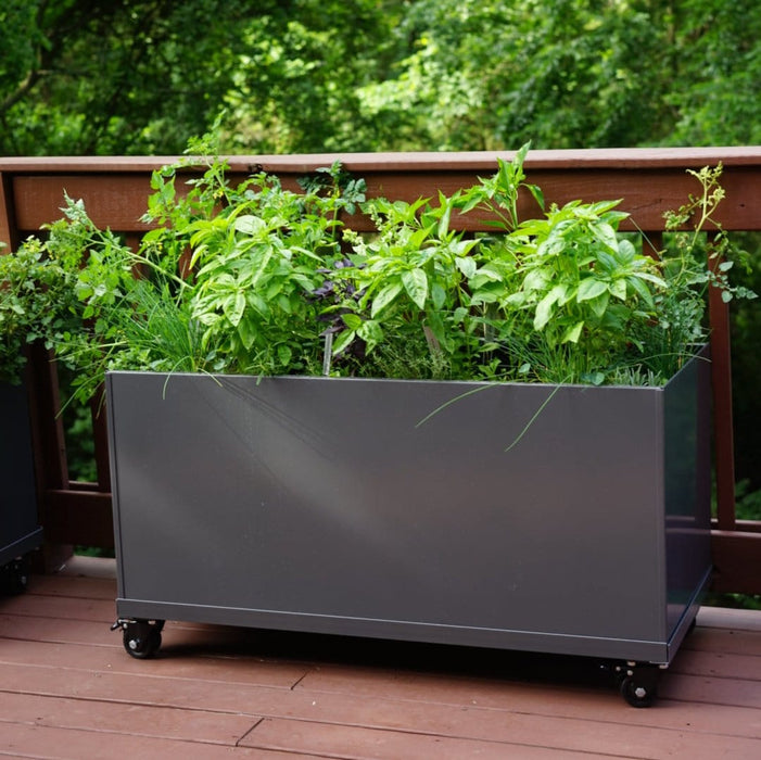 Modern dark grey mobile planter box filled with lush basil, chives, and herbs on a wooden deck.