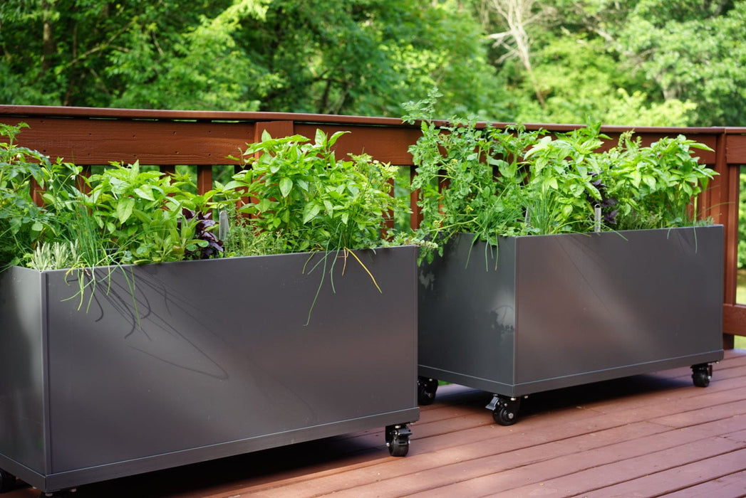 Dark gray mobile planters on a deck, filled with fresh basil, chives, and various herbs. Outdoor container gardening.