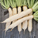 Fresh white daikon radishes with vibrant green tops on a rustic wooden background.