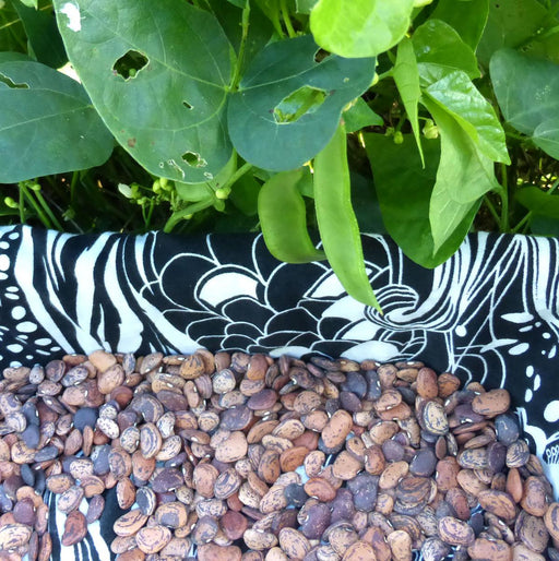 Dried speckled lima beans on a patterned cloth, with fresh green pods on the bean plant above. Garden harvest.