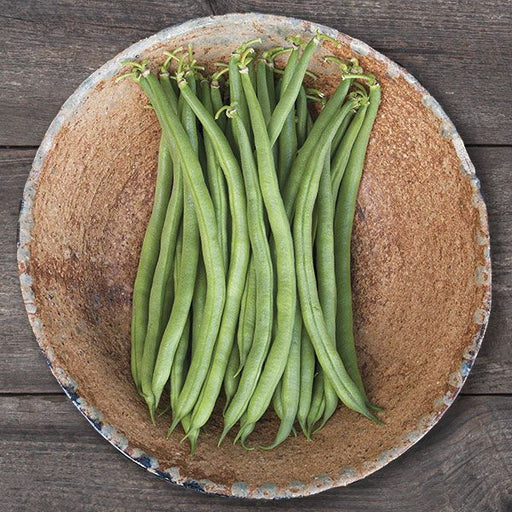 Fresh vibrant green beans in a textured rustic bowl on a dark wood background. Healthy vegetables, garden produce.